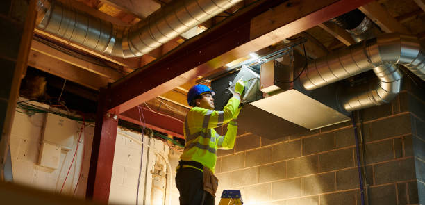 Best Air Duct Inspection  in Crainvle, IL