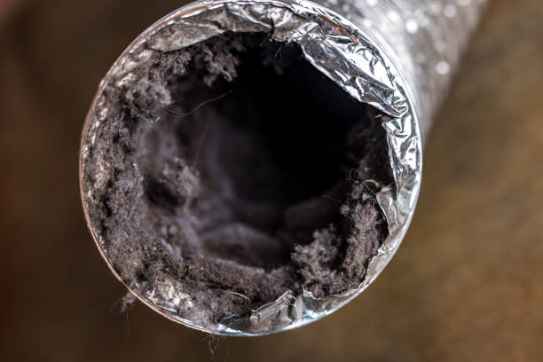 Best Dryer Vent Cleaning Services  in Crainvle, IL