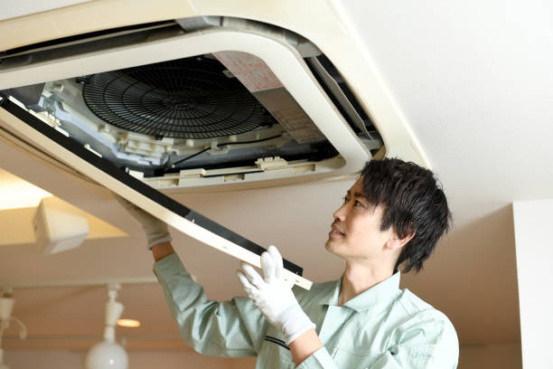 Best Professional Duct Cleaning Services  in Crainvle, IL